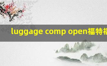 luggage comp open福特福克斯